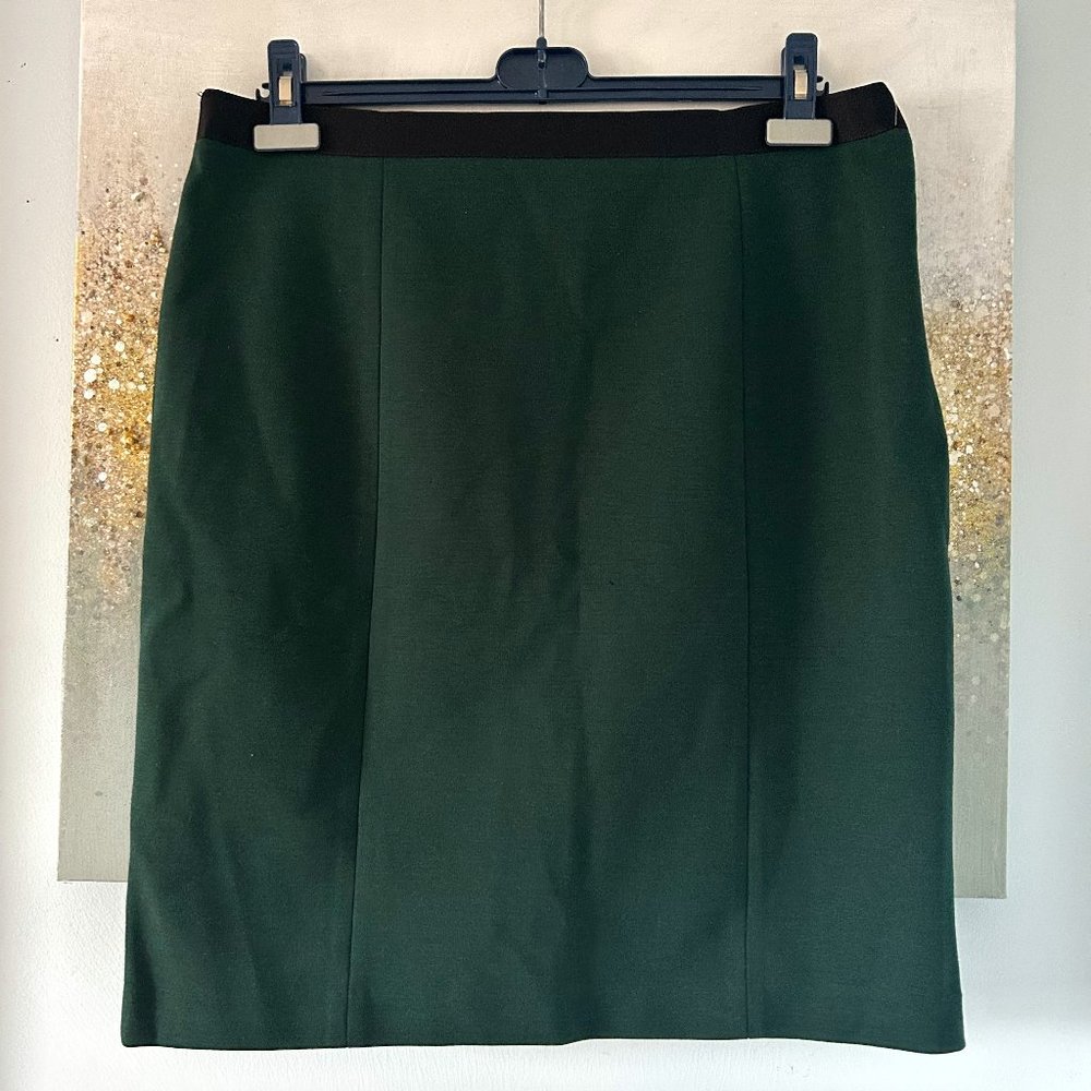 Tahari Awilda Skirt (NWT)